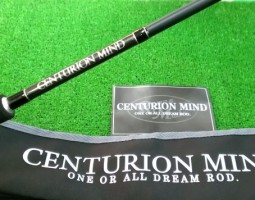 ロマンメイド　フリーダム入荷（大東店）